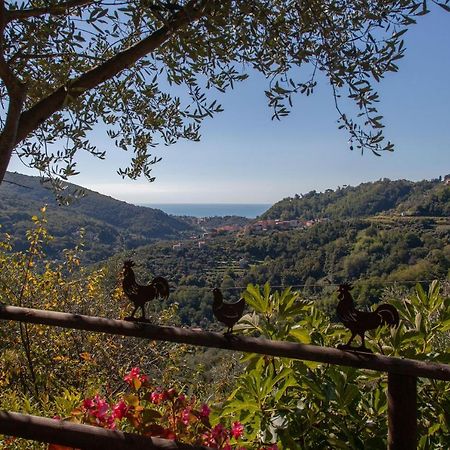 Pietrantica - Affittacamere Con Giardino Nuova Apertura A Trebiano -Citr Zewnętrze zdjęcie
