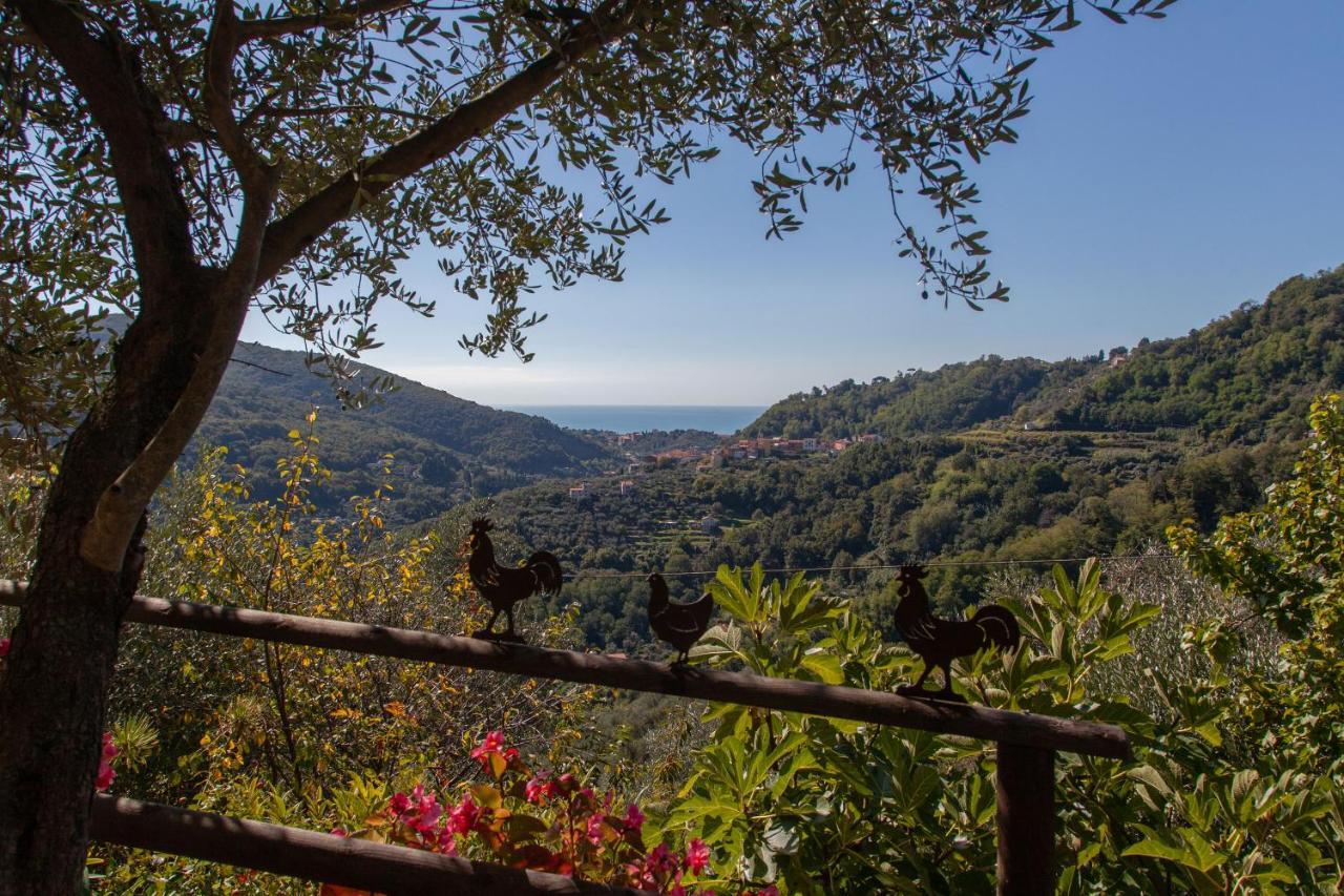 Pietrantica - Affittacamere Con Giardino Nuova Apertura A Trebiano -Citr Zewnętrze zdjęcie