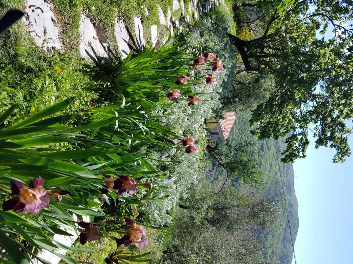 Pietrantica - Affittacamere Con Giardino Nuova Apertura A Trebiano -Citr Zewnętrze zdjęcie