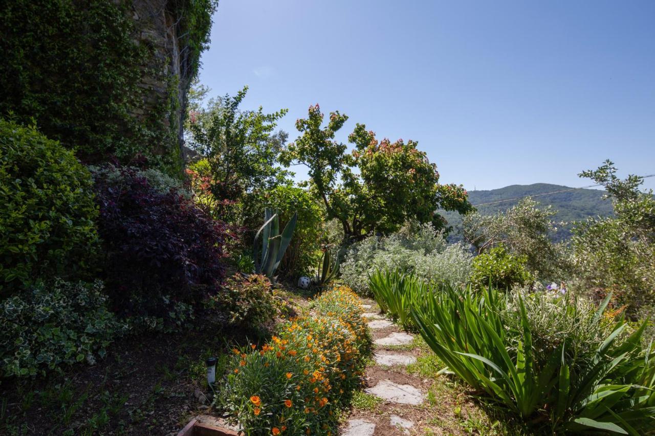 Pietrantica - Affittacamere Con Giardino Nuova Apertura A Trebiano -Citr Zewnętrze zdjęcie