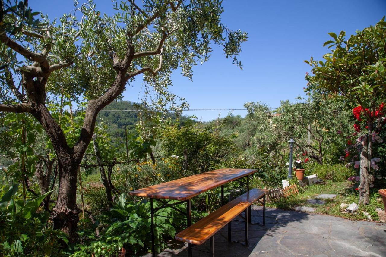 Pietrantica - Affittacamere Con Giardino Nuova Apertura A Trebiano -Citr Zewnętrze zdjęcie